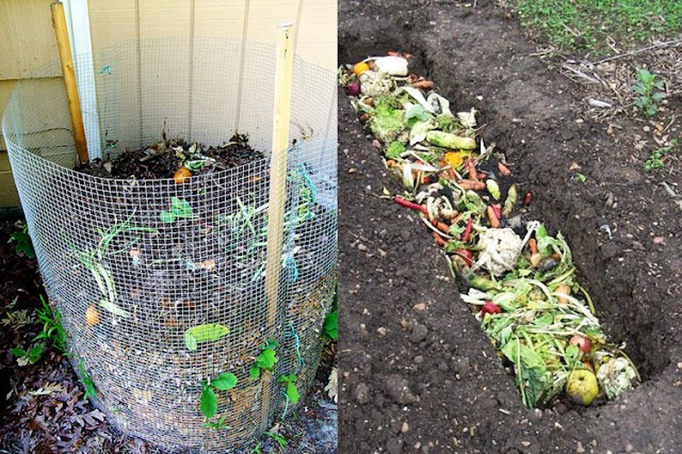 Compostagem: A Base de Tudo para um Solo Fértil - inspiração 2