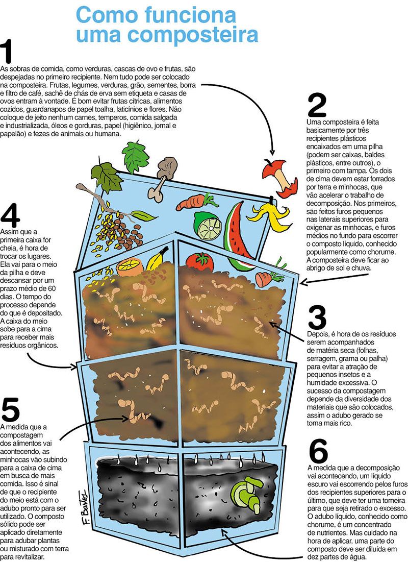 Vermicompostagem: Minhocas Trabalhando por Você - inspiração 2
