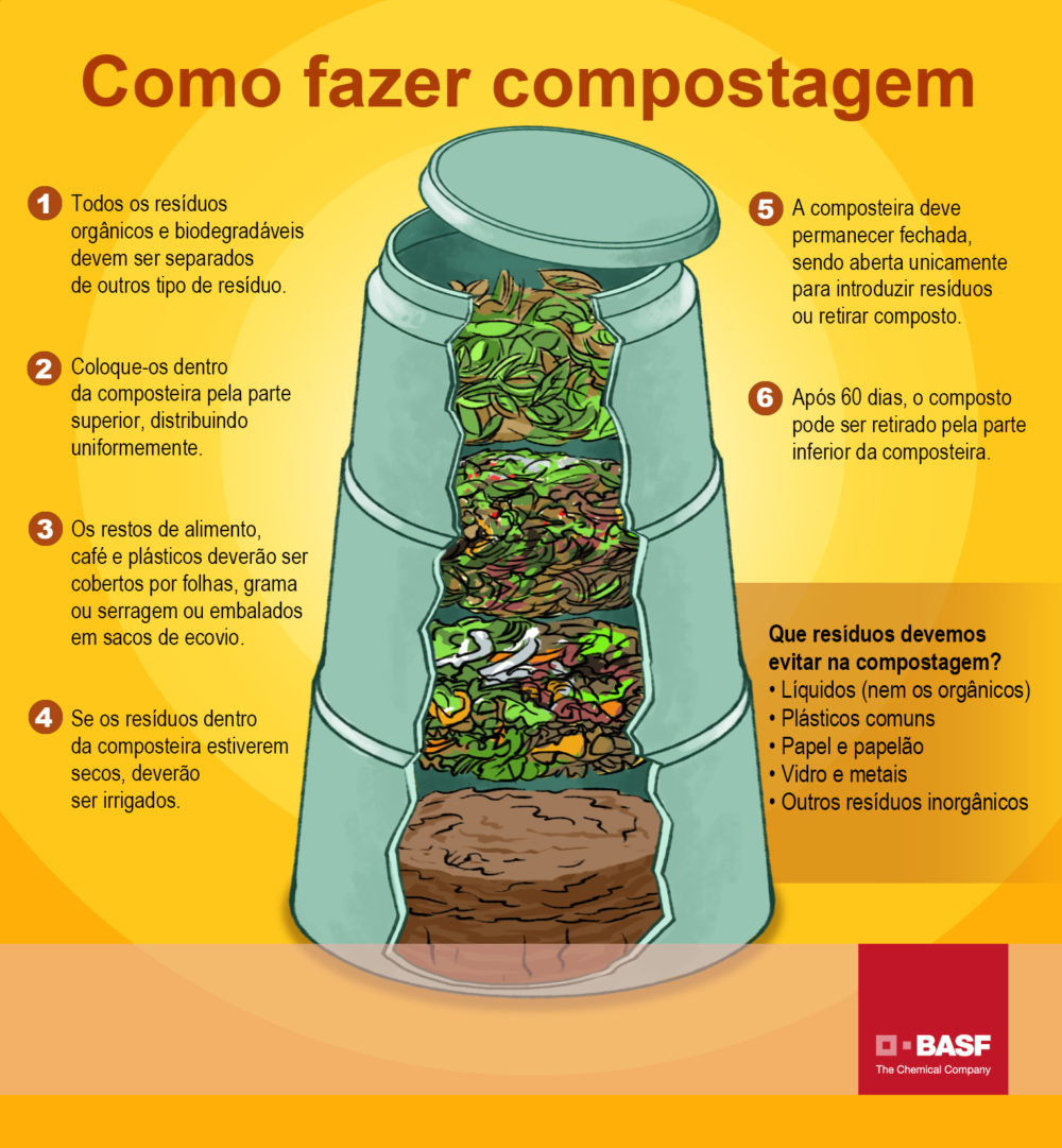 Adubo de Cascas de Ovo: Cálcio Essencial para Flores e Frutos - inspiração 1