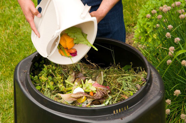 Borra de Café: Nutriente Rápido e Eficaz - inspiração 2