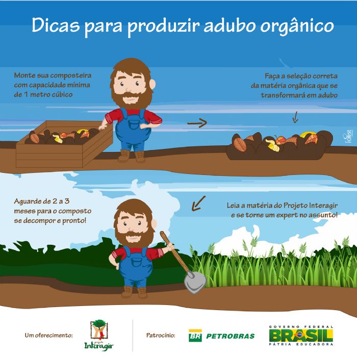 Cascas de Frutas e Legumes: Um Banquete para o Solo - inspiração 1