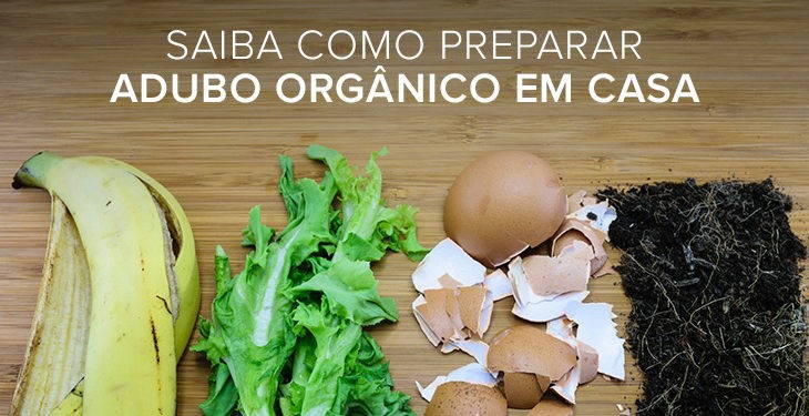 Cenoura e Banana: Compostagem Específica para Beleza e Saúde das Plantas - inspiração 1