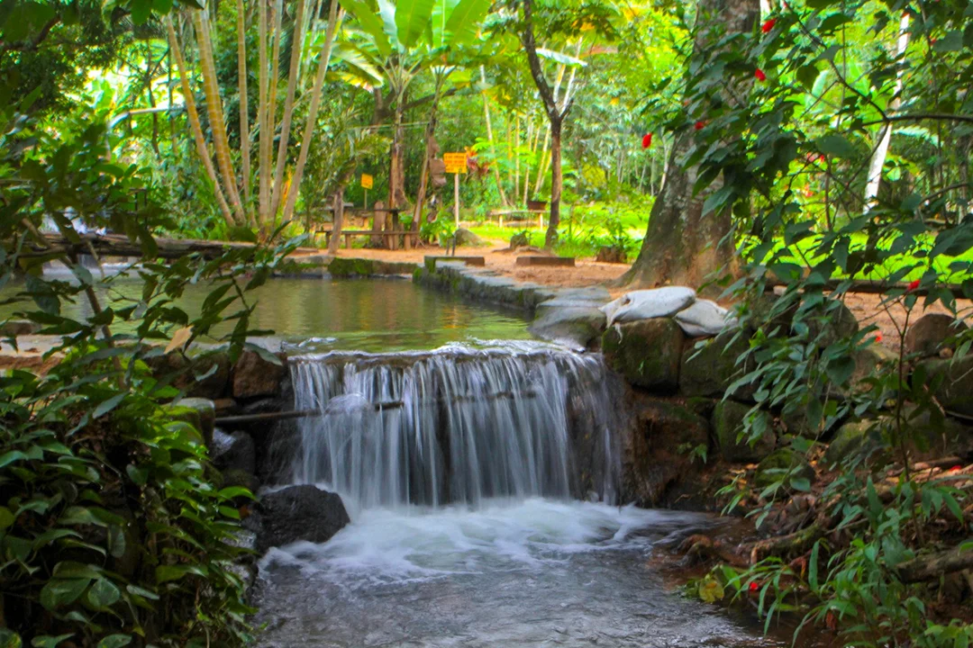 Conectando-se com a Terra: Atividades que Revigoram a Alma - inspiração 1