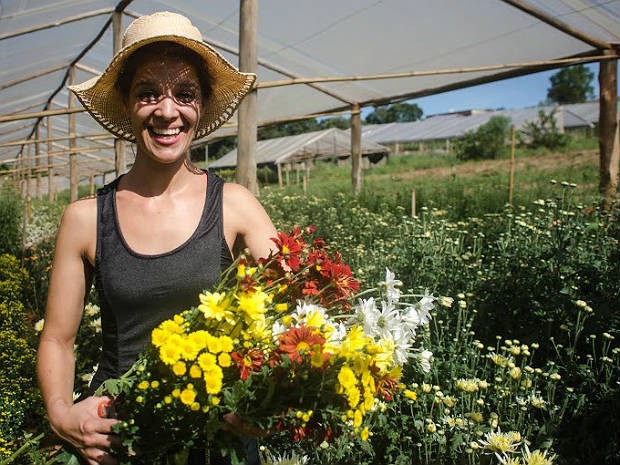 A Gastronomia como Ponto Alto: Da Horta para a Mesa - inspiração 1