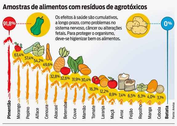Lave Frutas e Verduras com Atenção: O Básico que Faz Toda a Diferença - inspiração 1