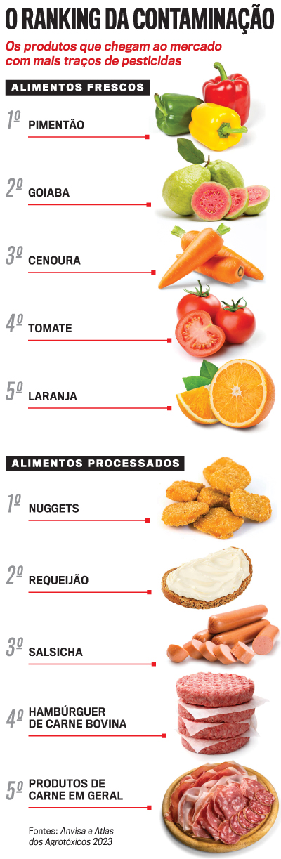 Lave Frutas e Verduras com Atenção: O Básico que Faz Toda a Diferença - inspiração 2