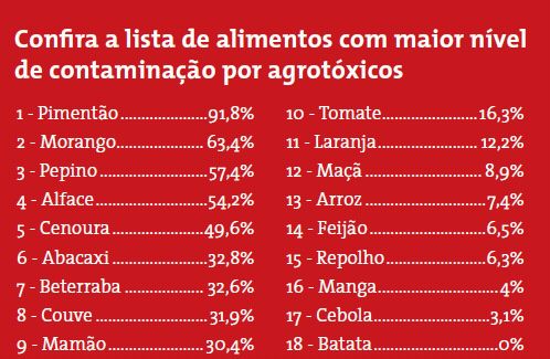 Invista em Feiras Orgânicas e Produtores Locais: Conexão Direta e Frescor - inspiração 1