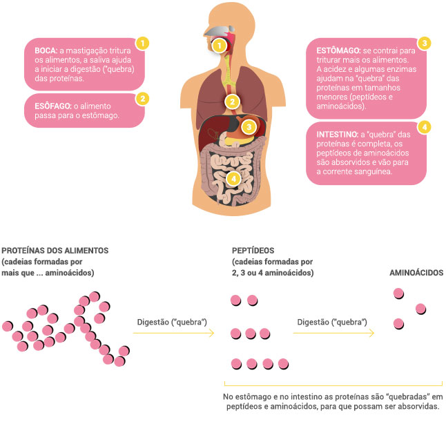 Diferenciando Alergia de Intolerância à Lactose - inspiração 1
