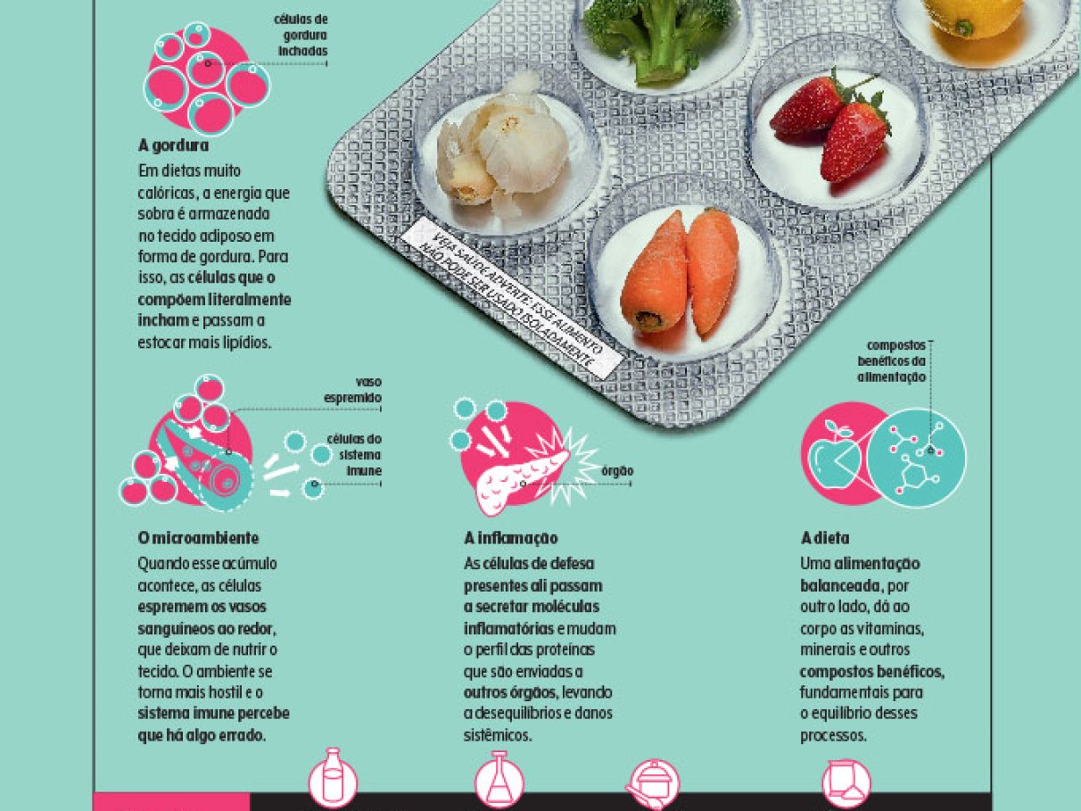 Excesso de Sal e Sódio: Atenção aos Alimentos Enlatados e Embutidos - inspiração 1