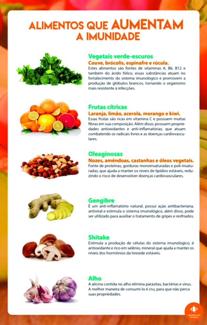 Alho e Cebola: Poder Antioxidante e Anti-inflamatório - inspiração 1