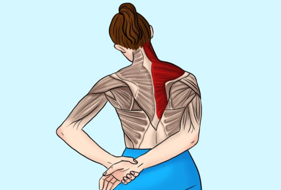 Gentileza no Movimento: A Primeira Regra do Alongamento - inspiração 1