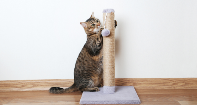 Escolhendo o material ideal: Durabilidade e segurança em primeiro lugar. - inspiração 1