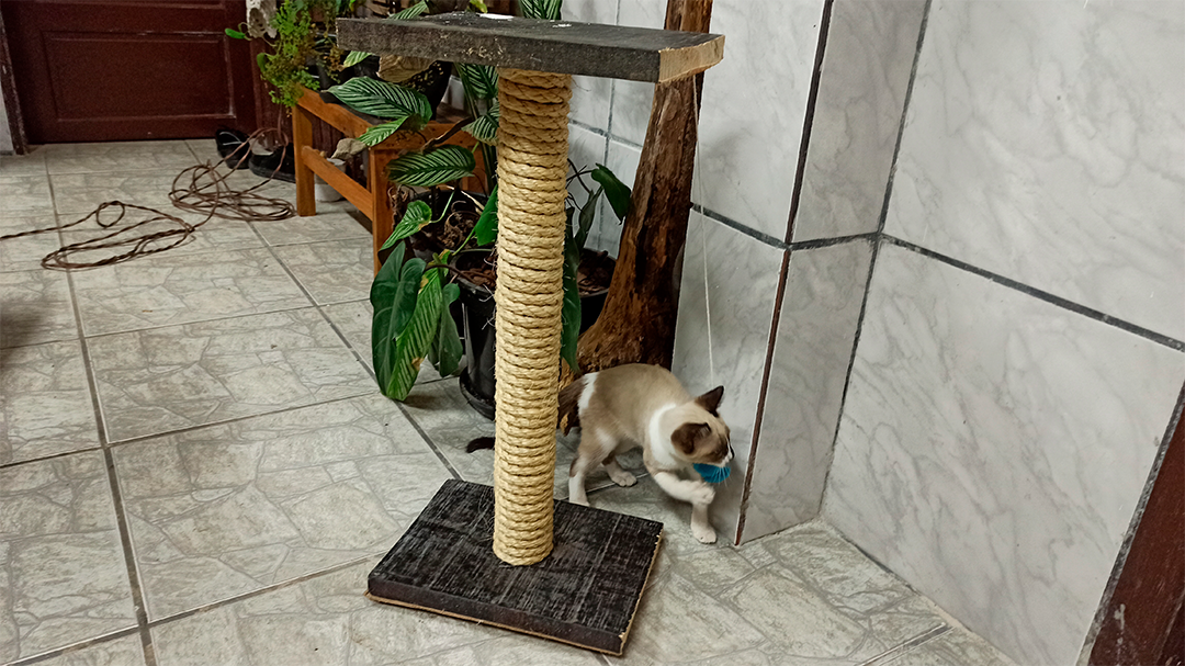 Revestindo o poste: Corda de sisal, carpete ou outros? Analisando as opções. - inspiração 1