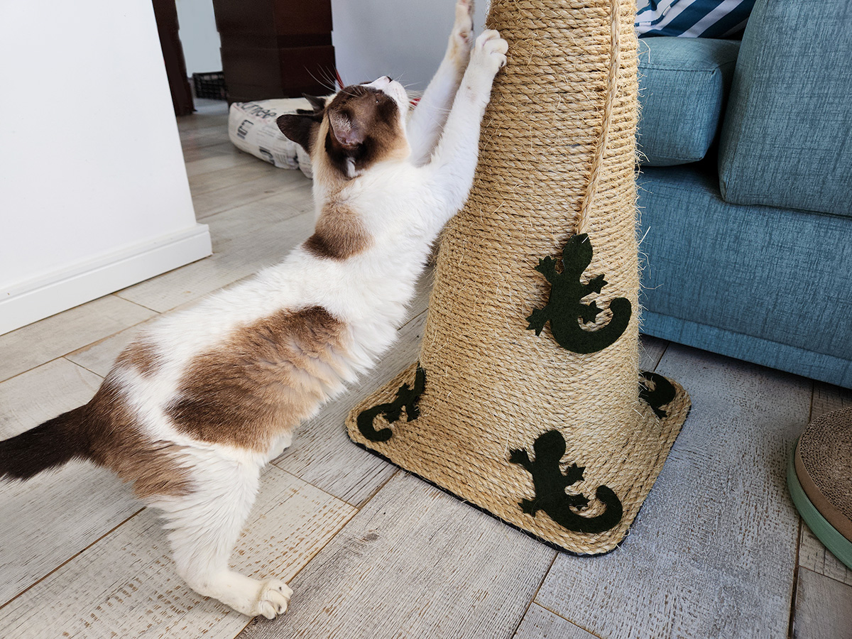 Revestindo o poste: Corda de sisal, carpete ou outros? Analisando as opções. - inspiração 2