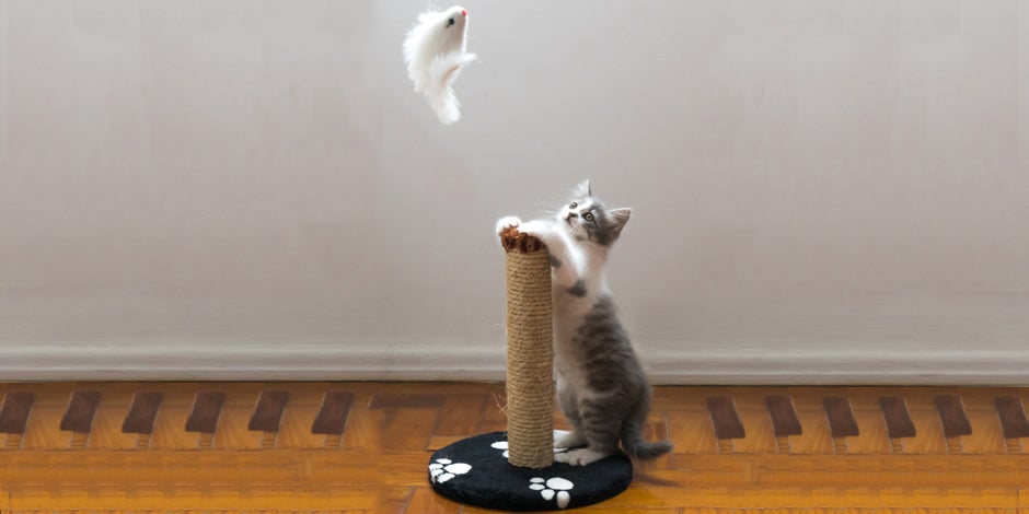 Segurança em cada detalhe: Evitando peças soltas e quinas perigosas. - inspiração 1