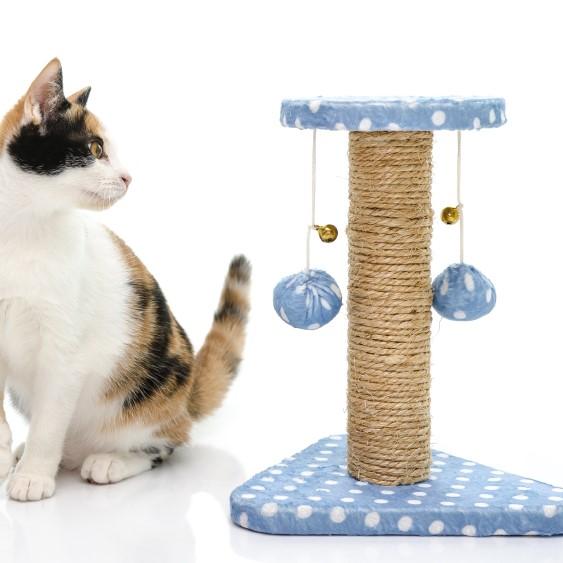 Ferramentas essenciais: O que você vai precisar para começar. - inspiração 2