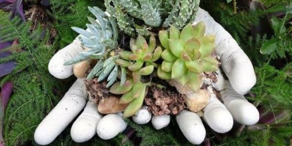 Cuidados Essenciais: Tratamento e Conservação - inspiração 1