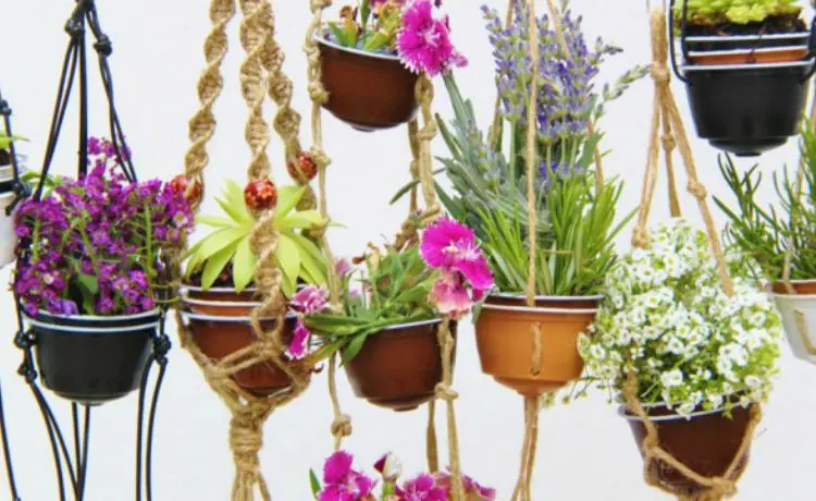 Ideias para Vender: Transformando seu Hobby em Fonte de Renda - inspiração 2