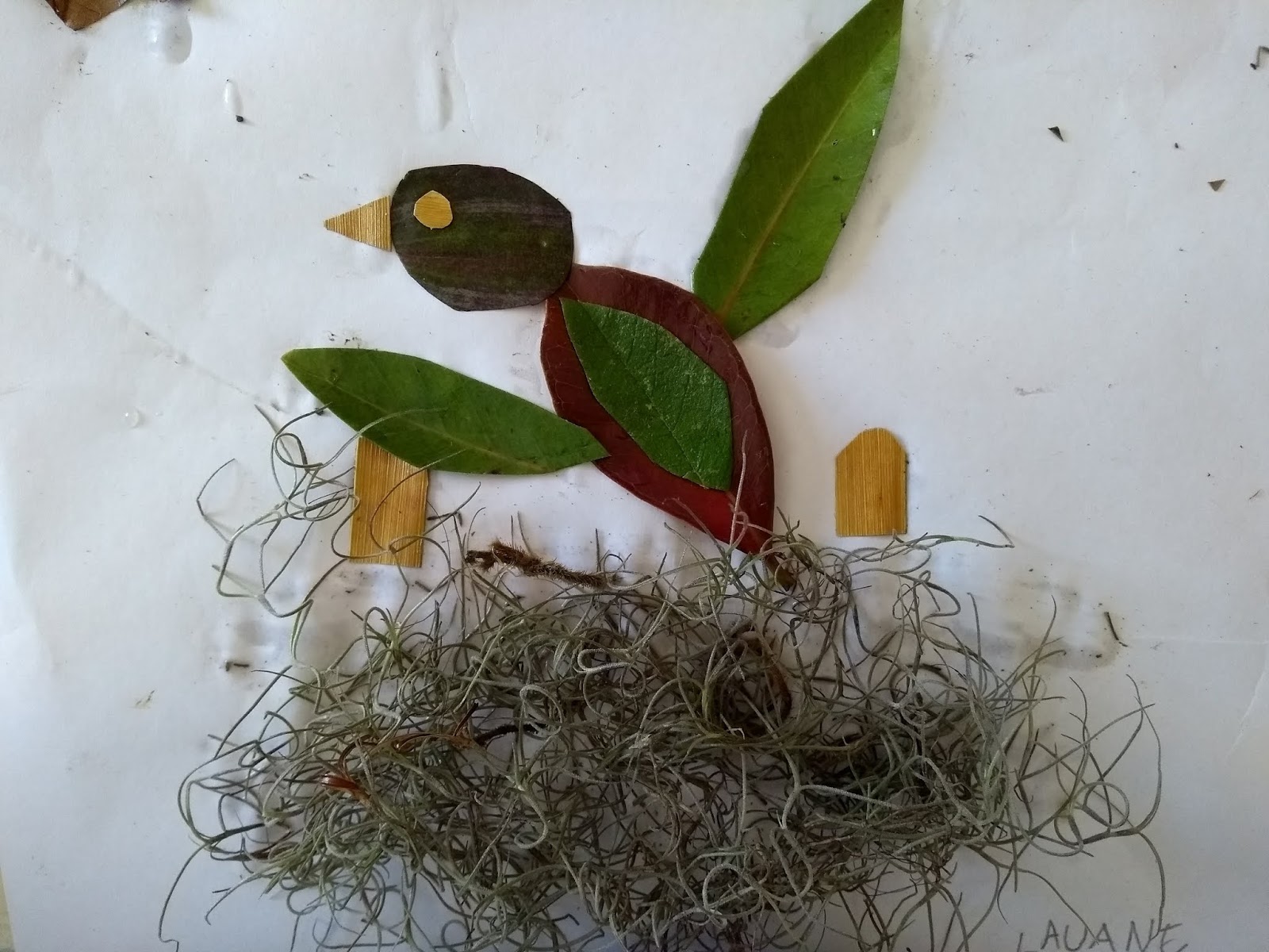 Bijuterias Delicadas com Sementes e Sementes - inspiração 1