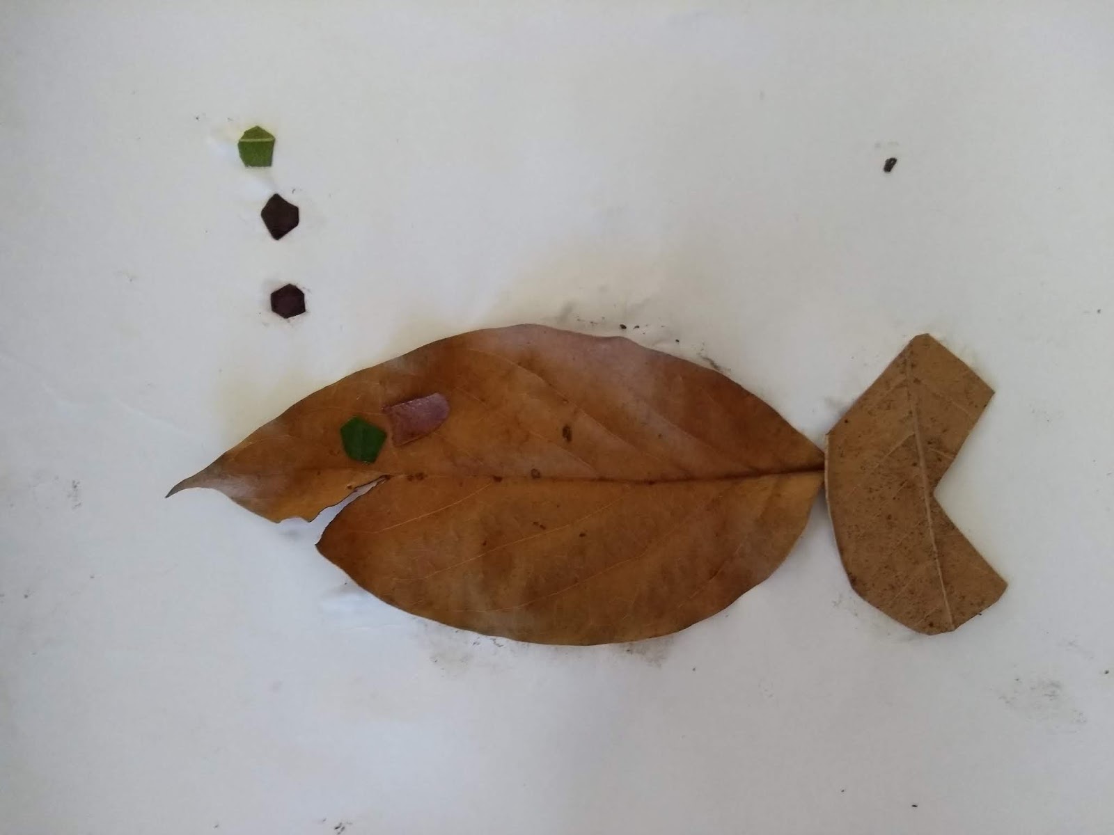 Bijuterias Delicadas com Sementes e Sementes - inspiração 2