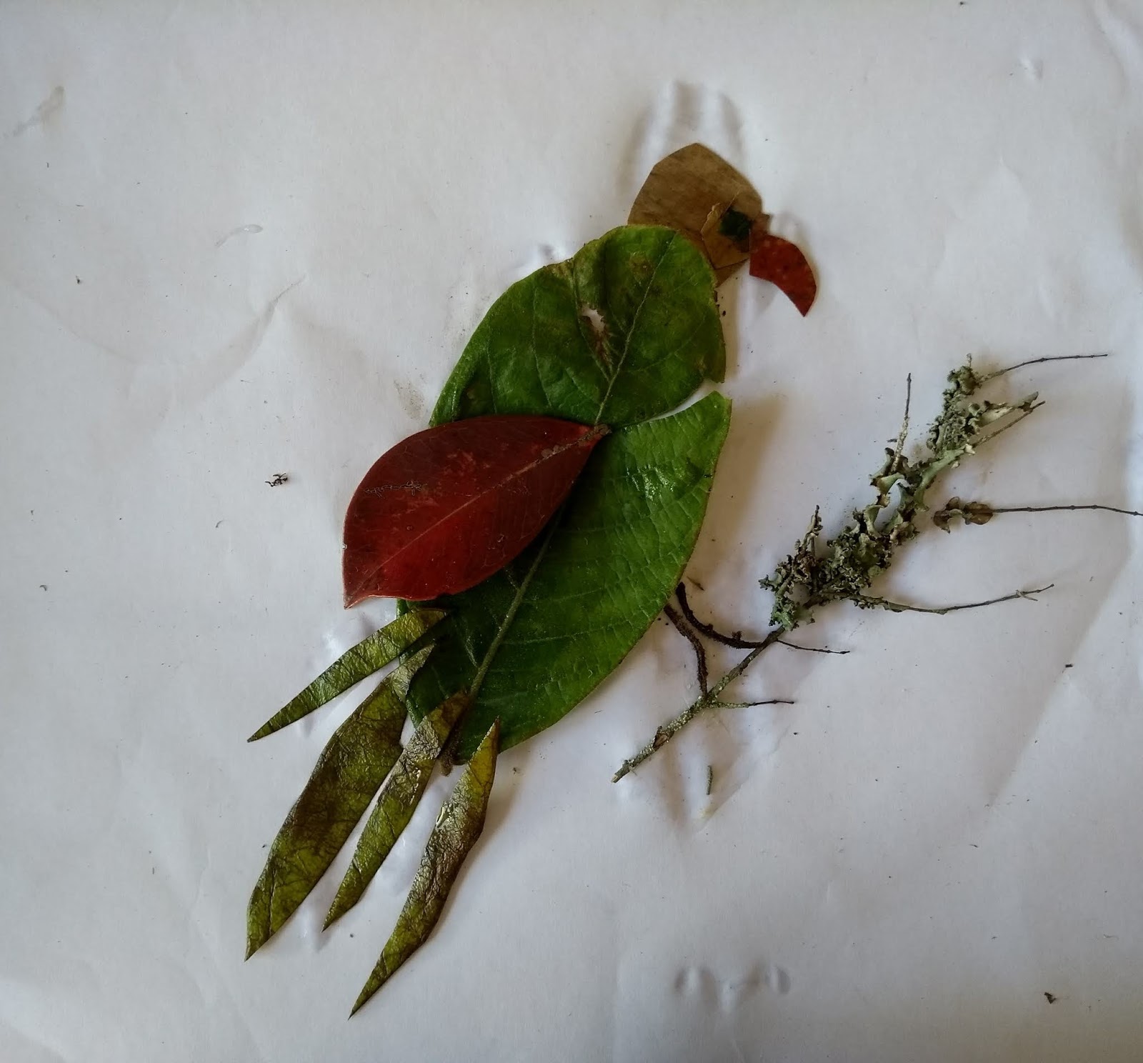 Velas Aromáticas Infundidas com Ervas Secas - inspiração 2