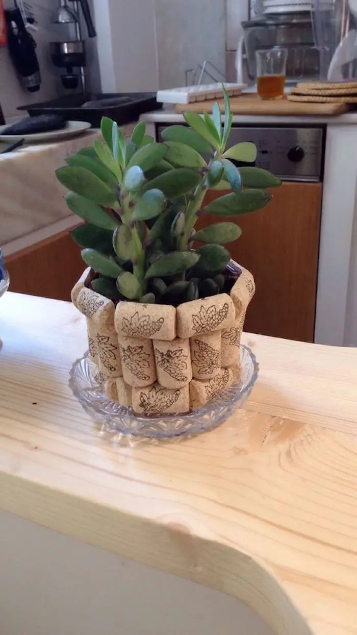 Porta-Retratos com Toque Natural e Rústico - inspiração 1