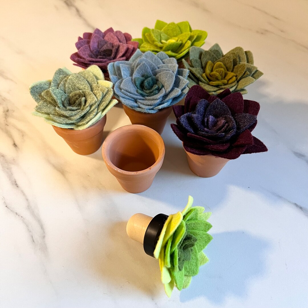 Identificadores de Plantas com Charme Rústico - inspiração 1