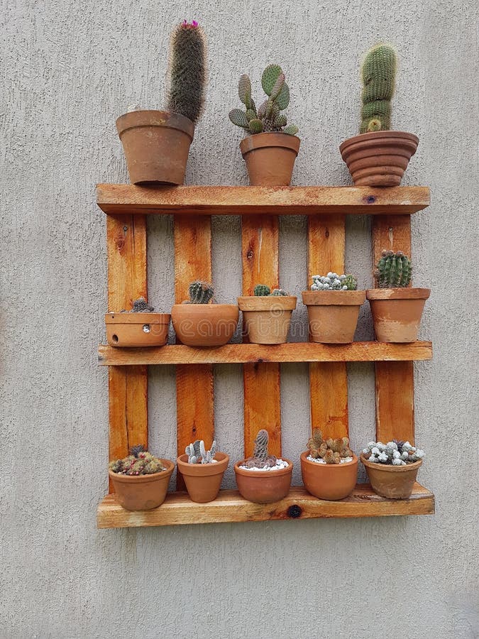 Segurança em Primeiro Lugar: Tratamento e Preparação da Madeira - inspiração 1