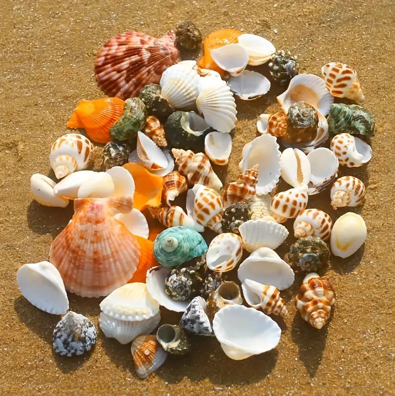 Materiais Essenciais para Começar seu Projeto - inspiração 2