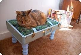 Decoração Sustentável: Pintura e Acabamento com Tinta Não Tóxica - inspiração 2