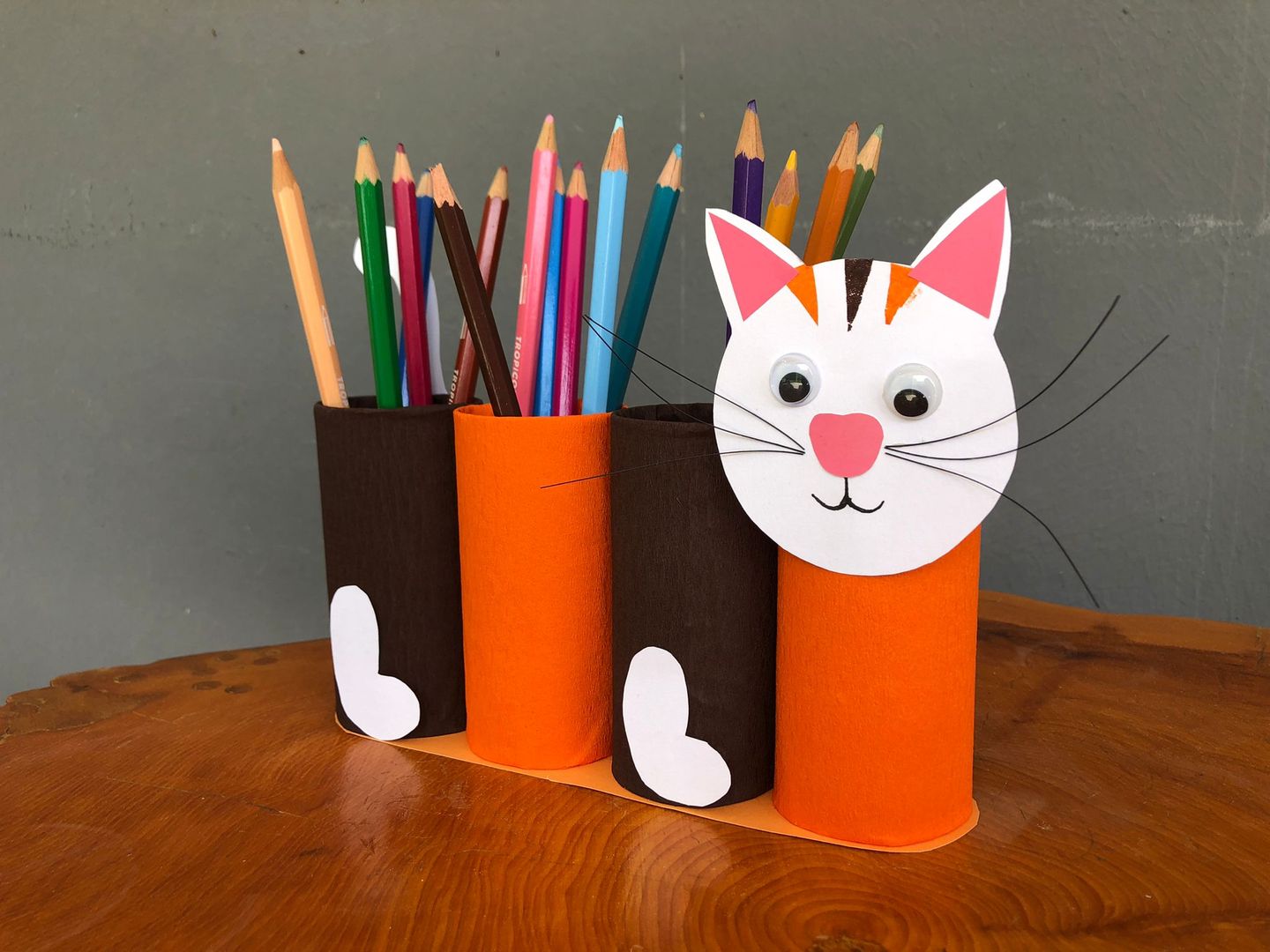 Comedouros e Brinquedos Interativos com Garrafas PET - inspiração 2