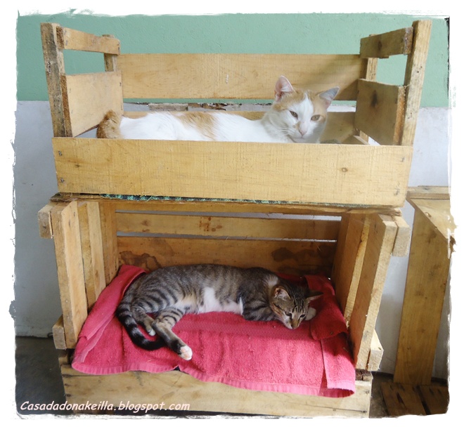 Prateleiras e Nichos Criativos com Paletes e Madeira Reciclada - inspiração 1