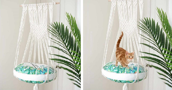 Casinhas Encantadas com Caixas de Eletrodomésticos - inspiração 1