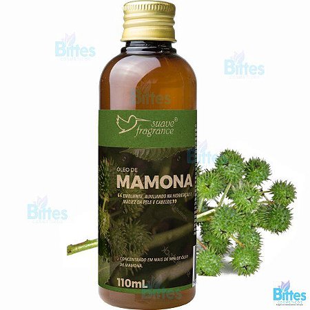 Fortalecimento Capilar: Adeus, Queda de Cabelo! - inspiração 1