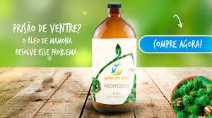 Combate à Caspa e Oleosidade Excessiva - inspiração 2