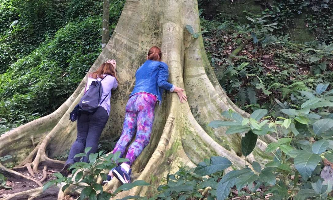 Encontrando Comunidades e Guias Locais - inspiração 1