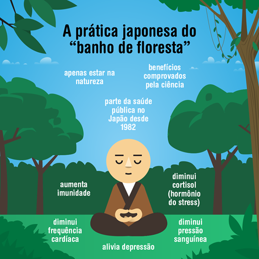 Benefícios Comprovados para Corpo e Mente - inspiração 1