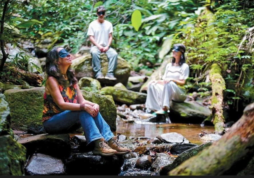 Benefícios Comprovados para Corpo e Mente - inspiração 2