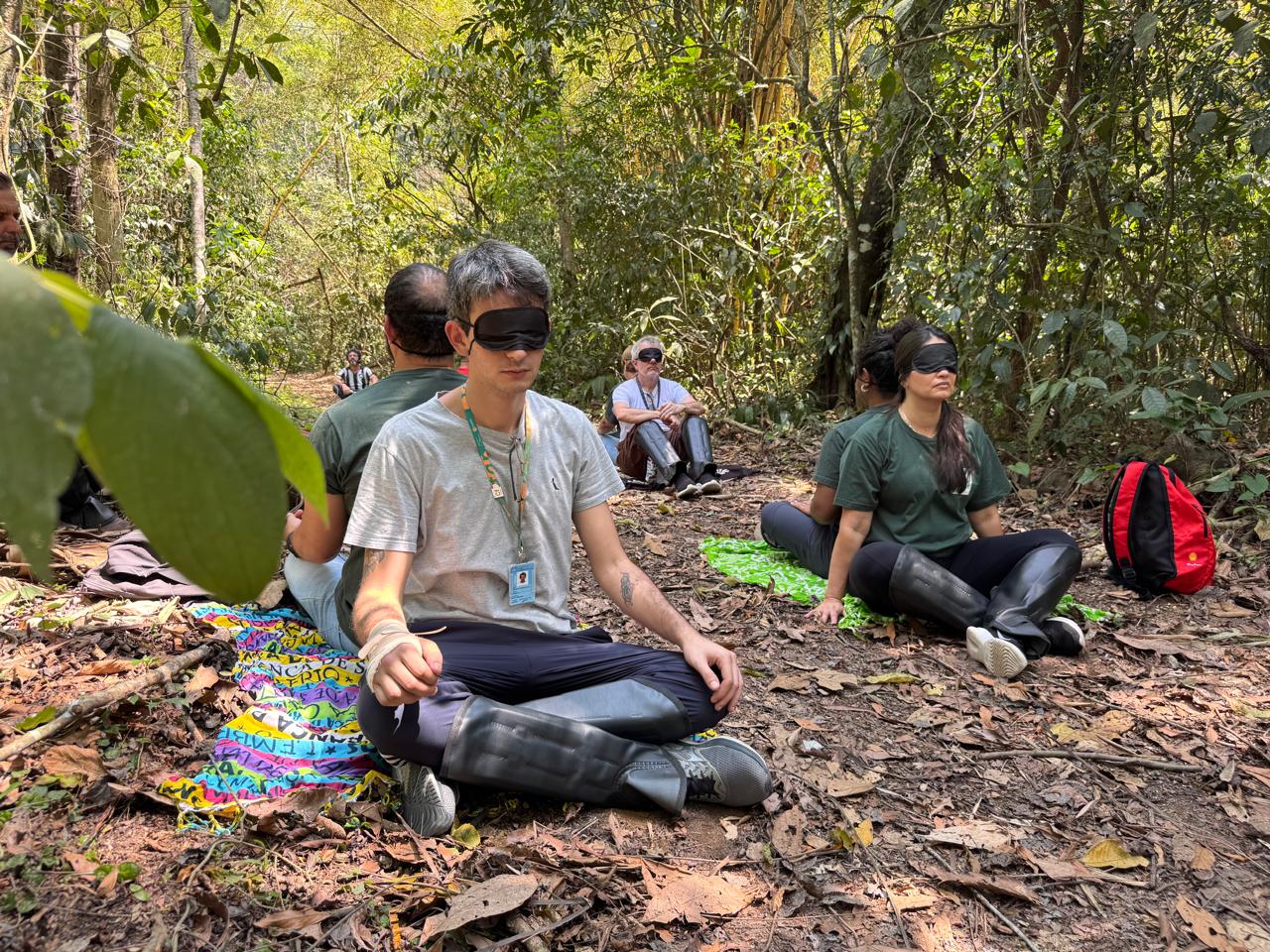Como Preparar seu Banho de Floresta Ideal - inspiração 2