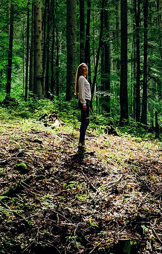 Pós-Banho de Floresta: Integrando a Calma no Dia a Dia - inspiração 2