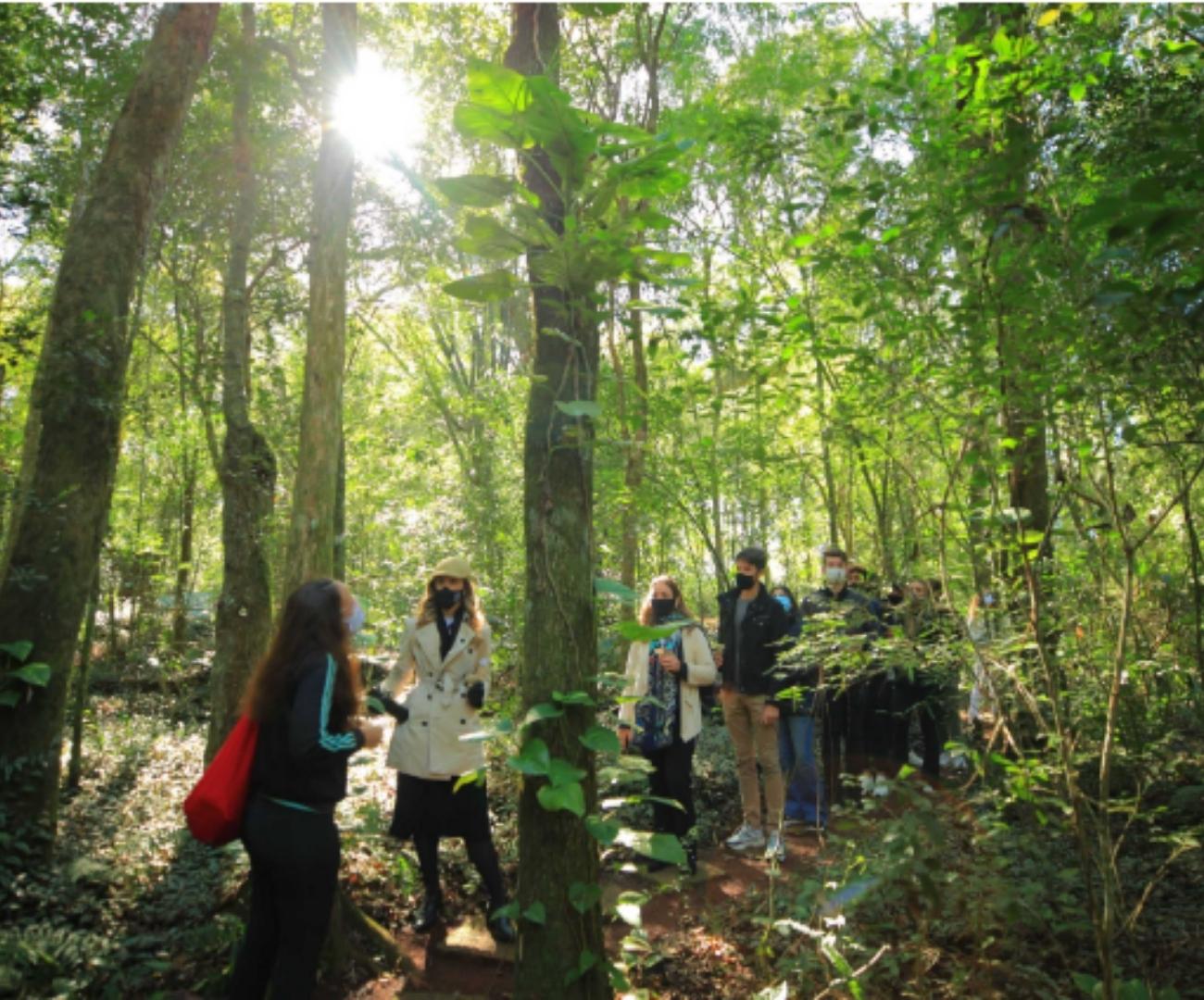 Variando seu Banho de Floresta: Estações e Ambientes - inspiração 2