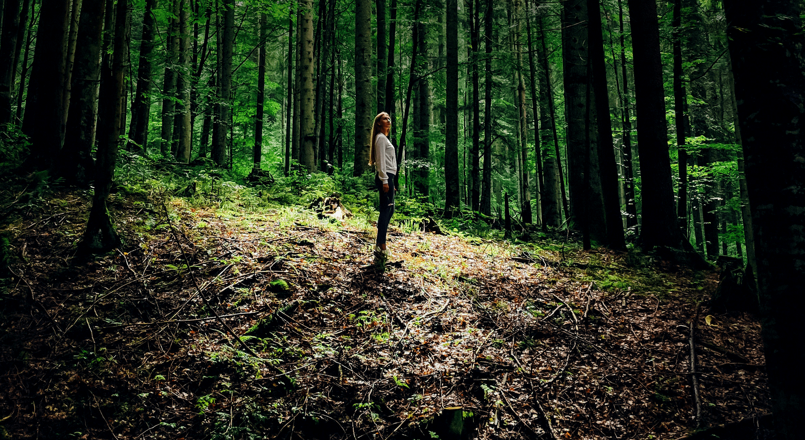 Banho de Floresta para Iniciantes: Primeiros Passos Seguros - inspiração 2