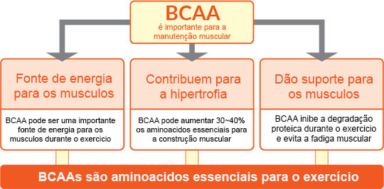 Otimizando a Ingestão de Proteínas Com o Auxílio do BCAA - inspiração 2