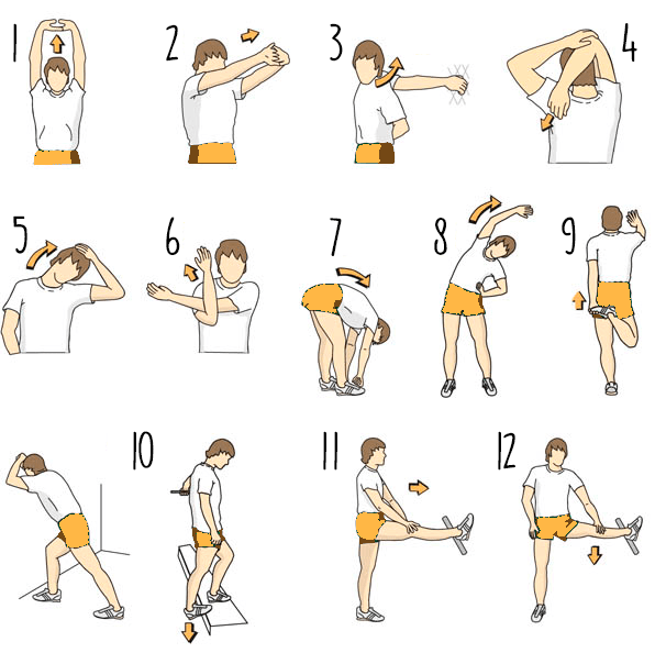 Preparação Perfeita para Atividades Físicas - inspiração 1