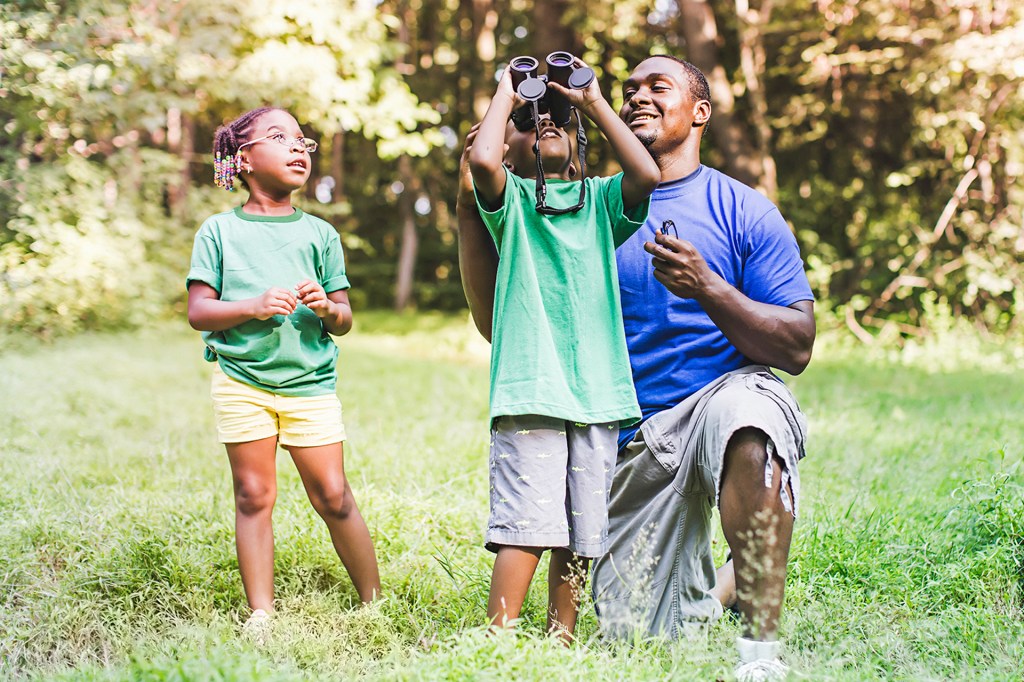 Técnicas para avistar os pássaros sem assustá-los - inspiração 1