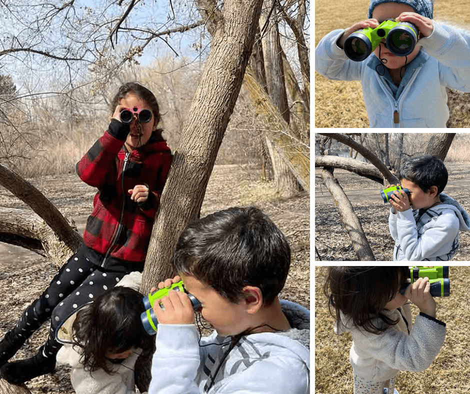 Canções e chamados: ouvindo a natureza em ação - inspiração 1