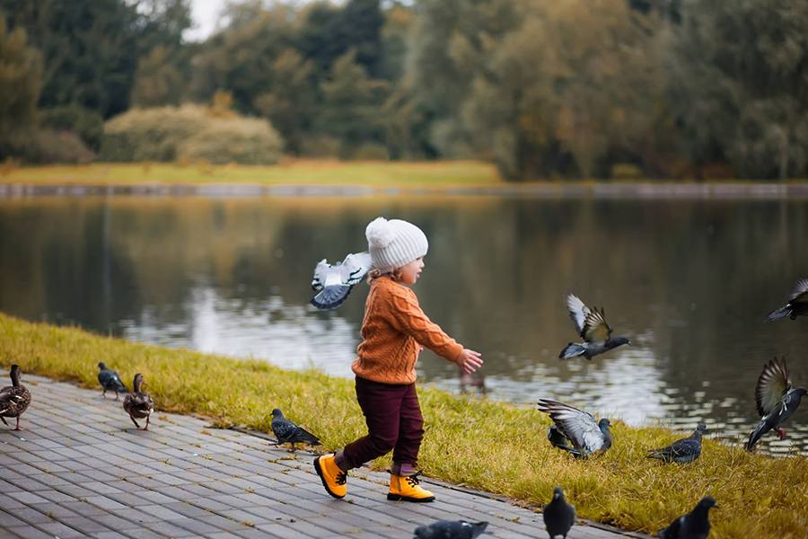 Dicas para manter o interesse das crianças durante o passeio - inspiração 1