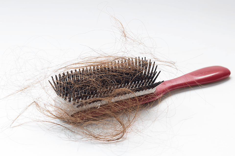 Fase de Crescimento do Cabelo: Ciclos Naturais e Queda - inspiração 1