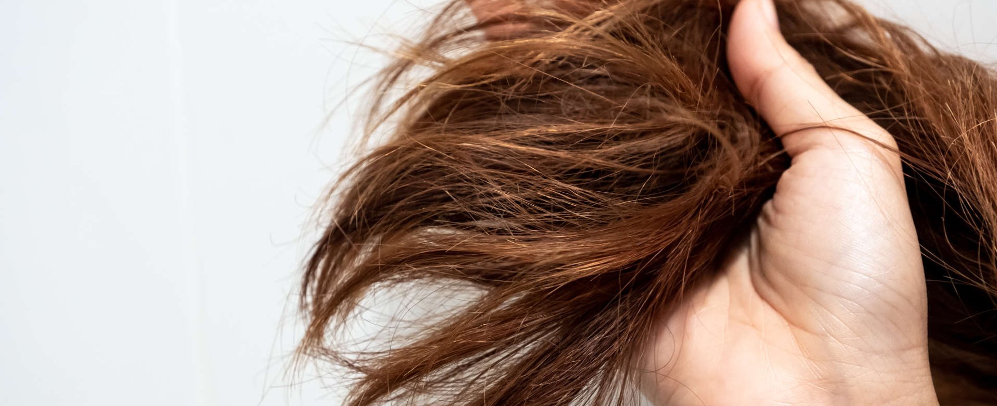 Cada Tipo de Cabelo Tem Sua Vulnerabilidade - inspiração 1