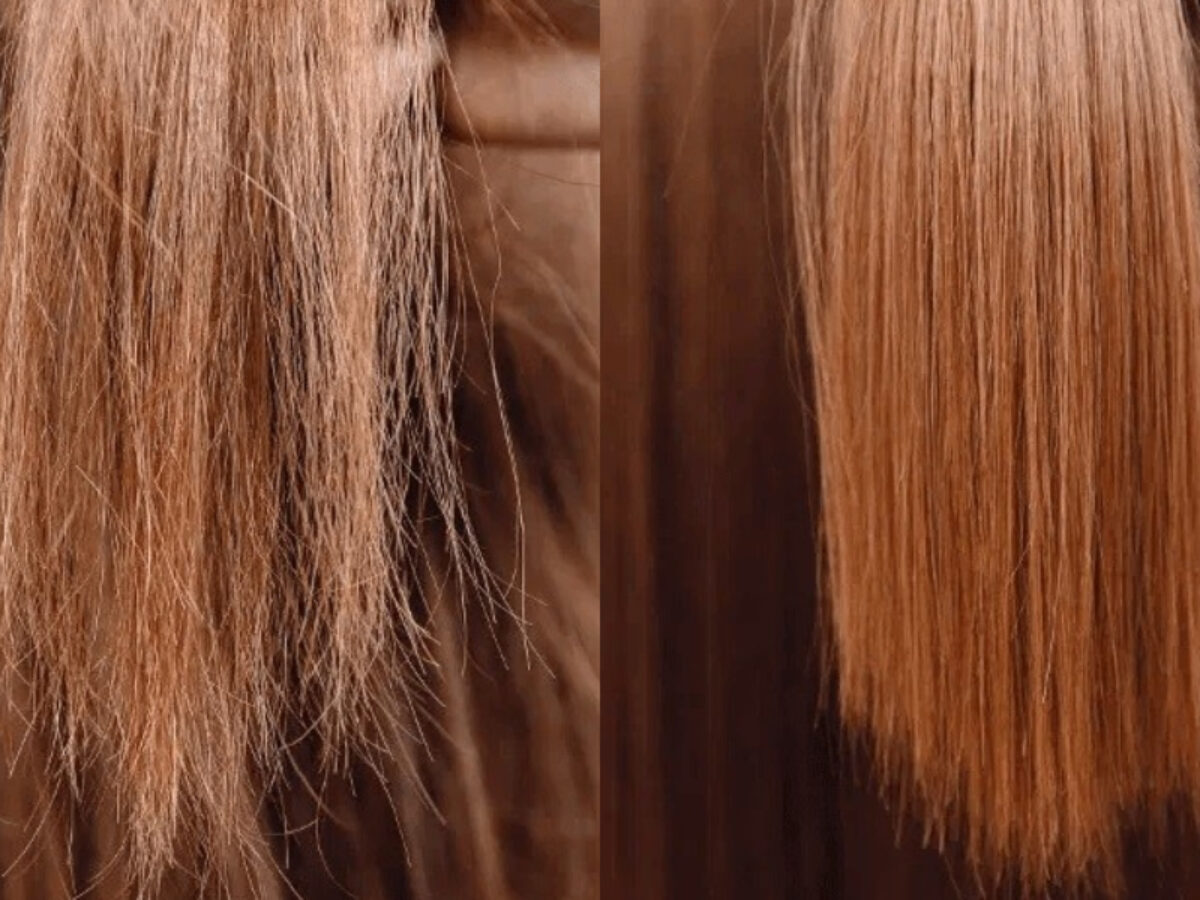 Proteção é a Chave Contra Danos Futuros - inspiração 2